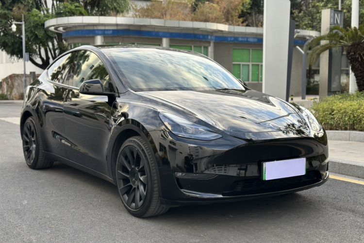 Tesla Model Y 2021 car image #9