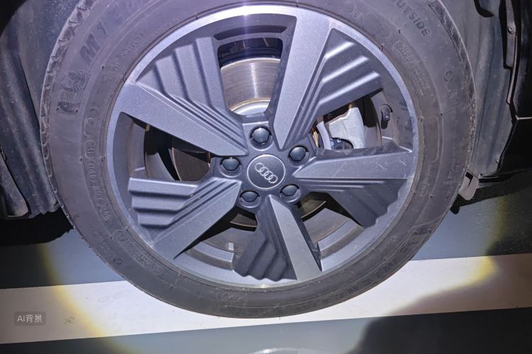 奥迪Q2L e-tron 2020 汽车图片 #9