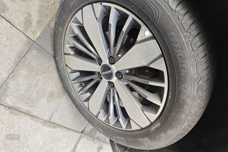 Haval F7x 2021 immagine di auto #9