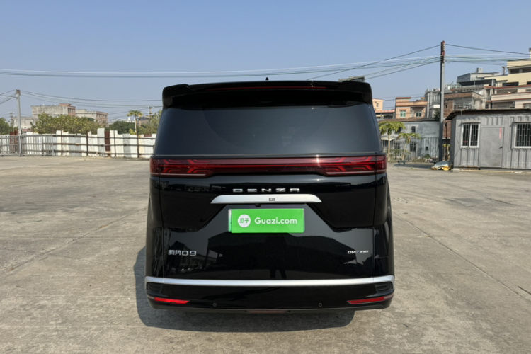 Denza D9 2025 car image #9