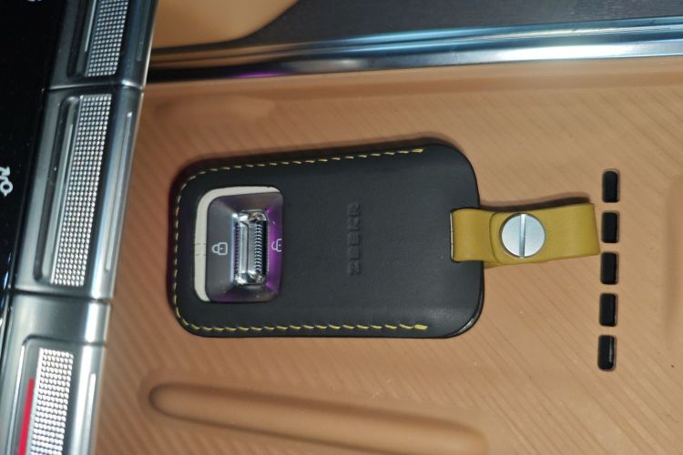 极氪 极氪9X 2025 汽车图片 #9