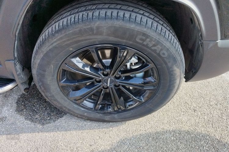 Haval Raptor New Energy 2024 #9 Haval Raptor New Energy 2024 car image #9