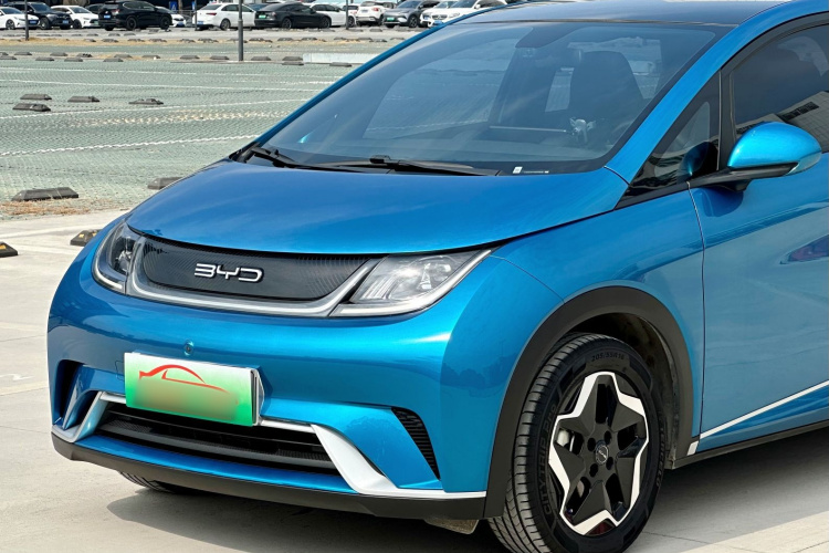 BYD Dolphin 2022 car image #9