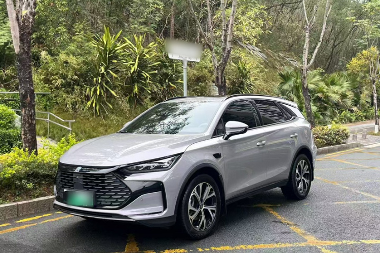 BYD Tang New Energy 2025 car image #9