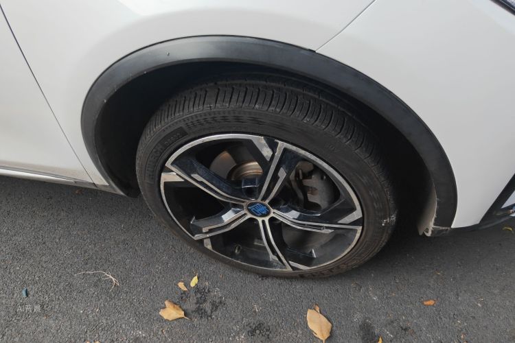 BYD Tang New Energy 2021 car image #9