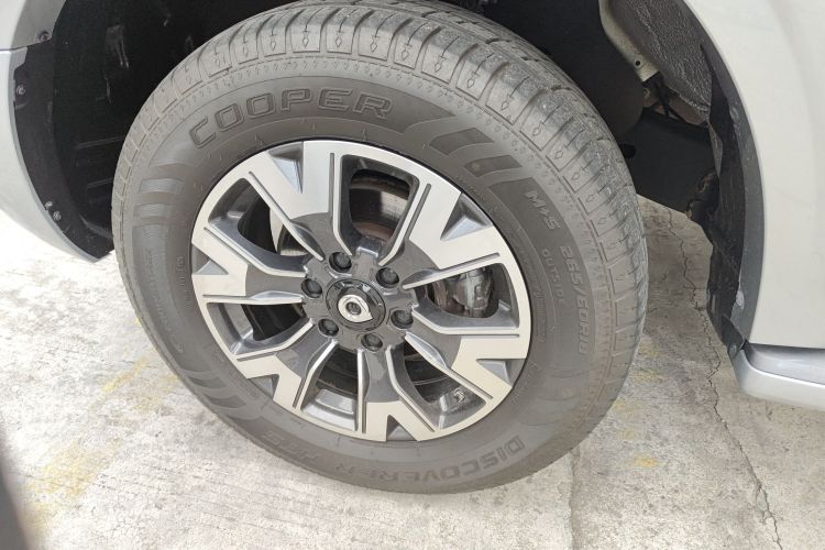 Great Wall 2021 car image #9