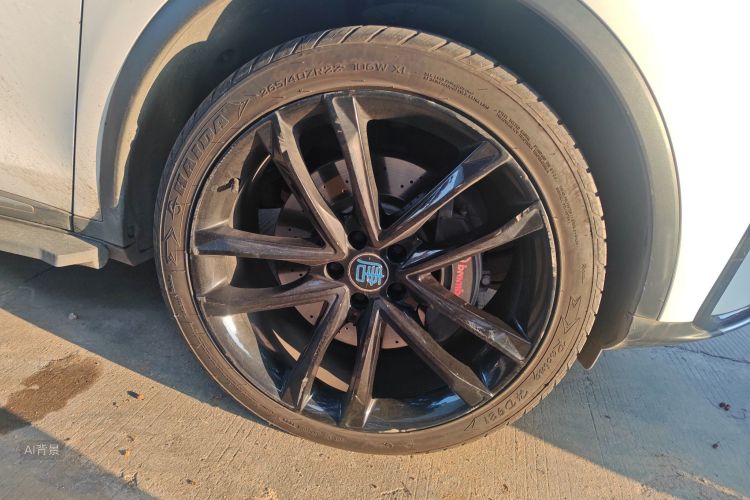 BYD Tang New Energy 2020 car image #9