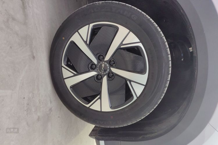 BYD Sea Lion 05 EV 2025 car image #9