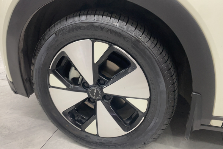 BYD Dolphin 2023 car image #9