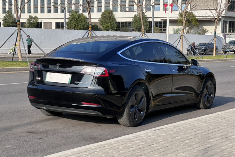 Tesla Model 3 2020 car image #9
