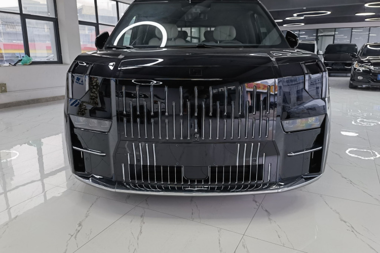 极氪 极氪009 汽车图片 #9