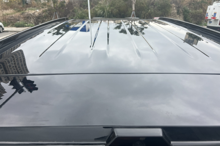 Tank 700 New Energy 2024 #9 Tank 700 New Energy 2024 immagine di auto #9