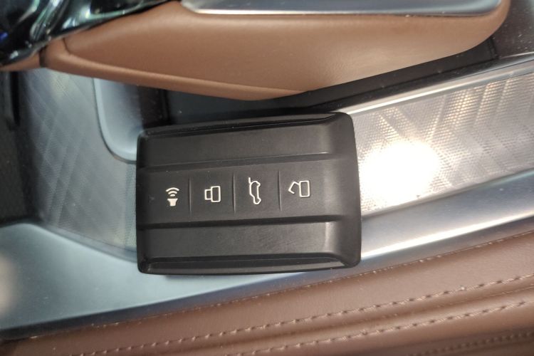 Tank 700 New Energy 2024 immagine di auto #9