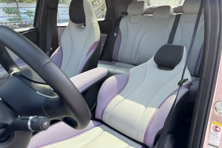 BYD Dolphin 2023 car image #9