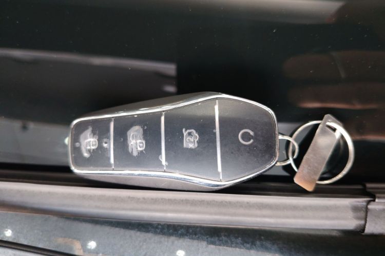 BYD Sea Lion 05 EV 2025 car image #9