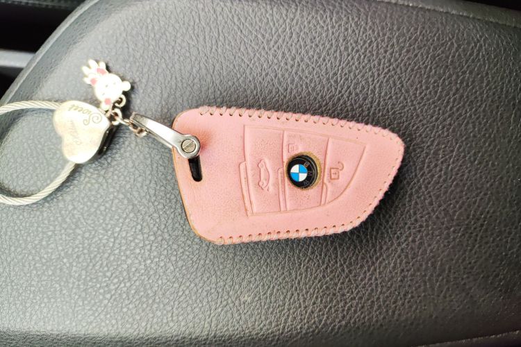 BMW X1 2017 car image #9