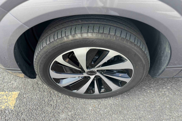 BYD Sea Lion 06 New Energy 2025 car image #9