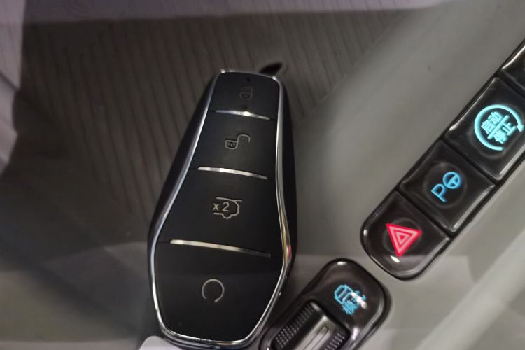 BYD Sea Lion 06 New Energy 2025 car image #9