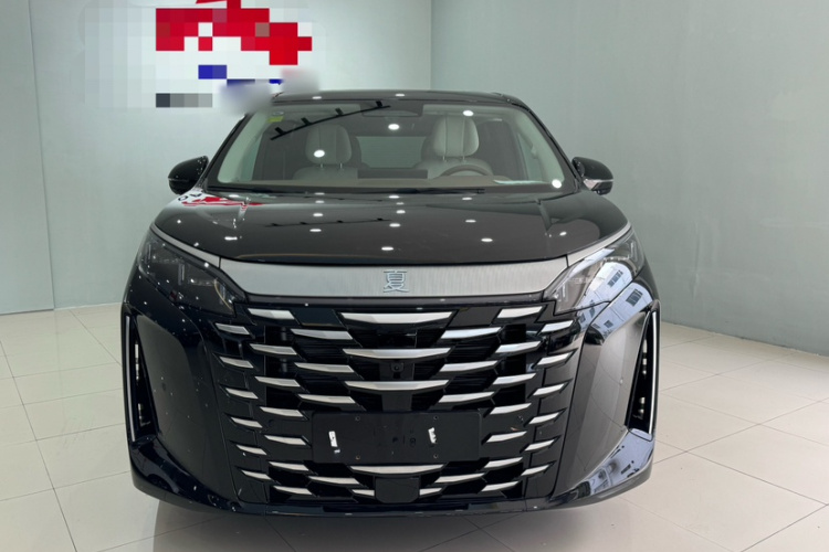 BYD Xia 2024 imagen de coche #9