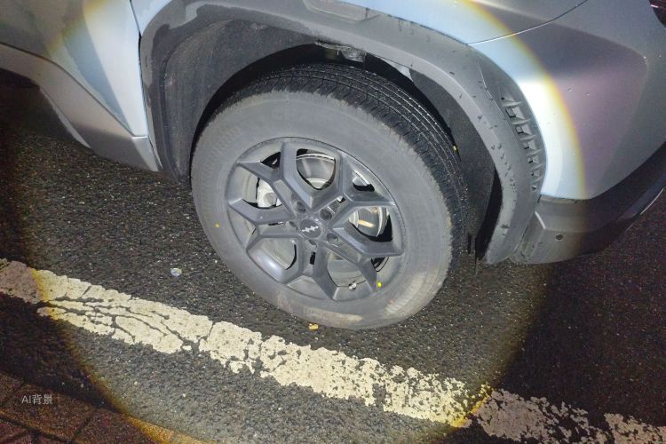 FangChengBao Tiger 3 2025 car image #9