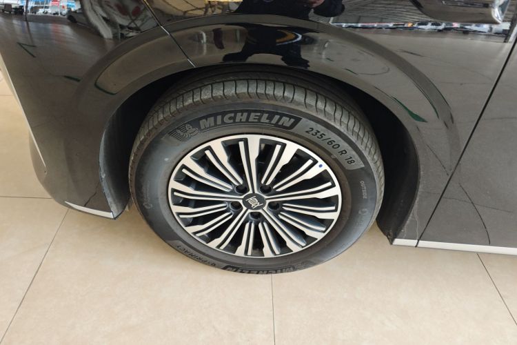 BYD Xia 2025 imagen de coche #9