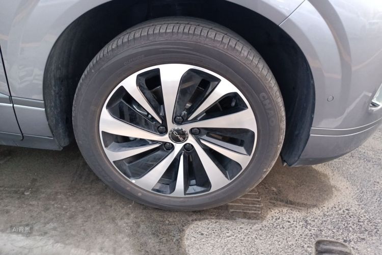 BYD Sea Lion 06 New Energy 2025 car image #9