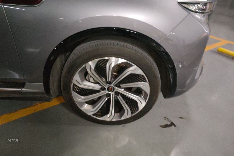 HongQi E-HS9 2022 car image #9