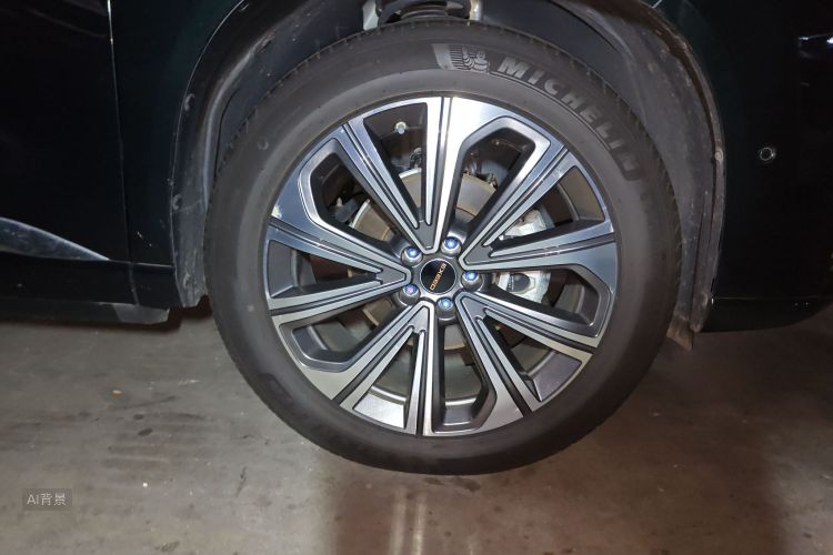 Exceed Lanyue 2023 изображение автомобиля #9