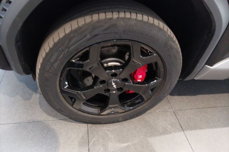 FangChengBao Tiger 3 2025 car image #9