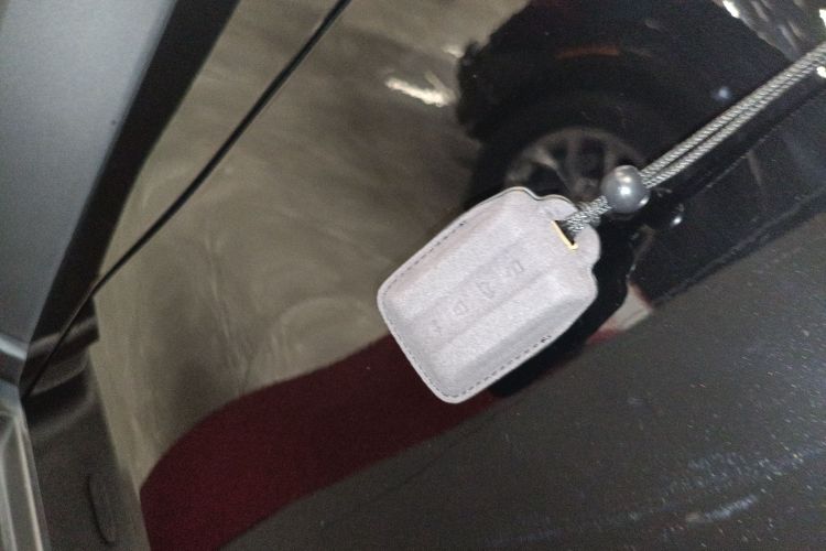 Tank 300 2025 car image #9