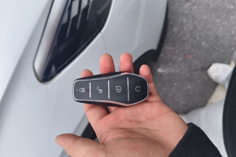 BYD Sea Lion 05 DM-i 2025 image de voiture #9