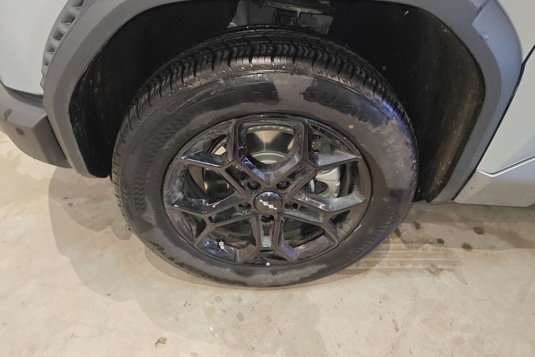 FangChengBao Tiger 3 2025 car image #9