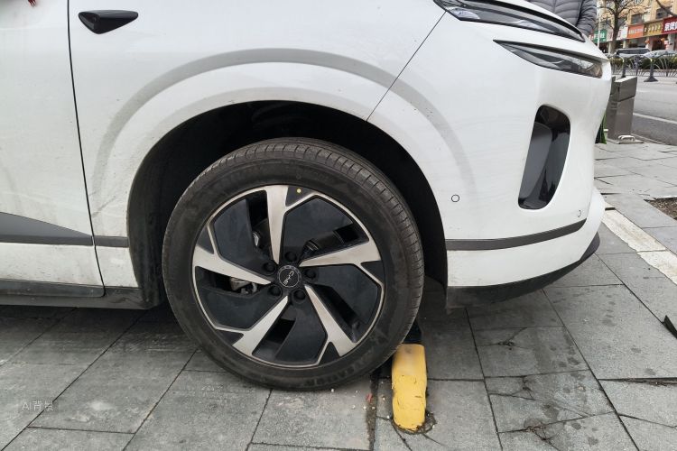 BYD Sea Lion 06 New Energy 2025 car image #9