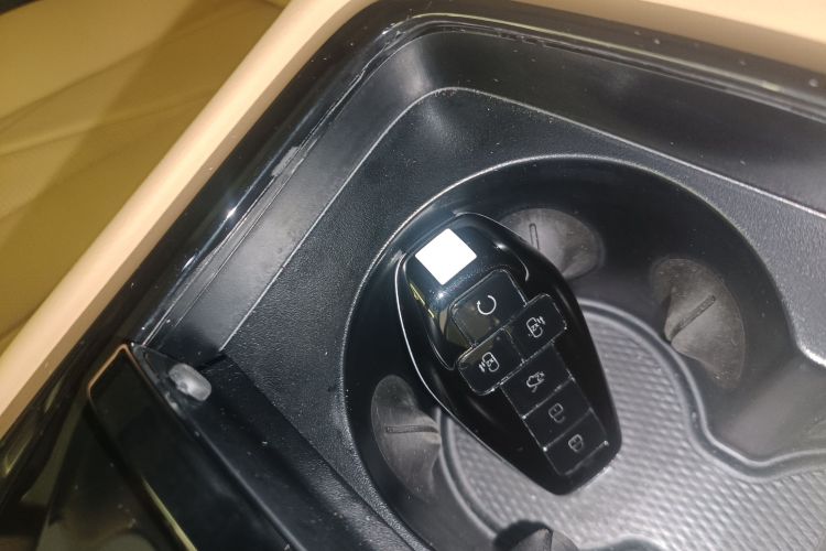 Denza D9 2025 immagine di auto #9