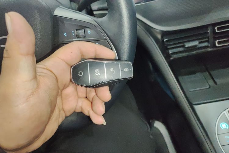 BYD Sea Lion 05 DM-i 2025 image de voiture #9