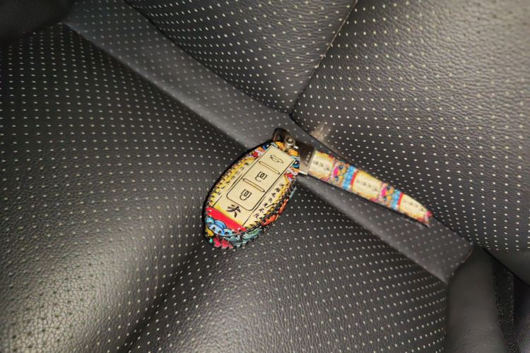 日产 轩逸 2019 汽车图片 #9