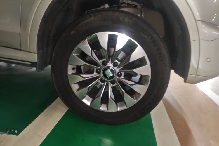 Tank 500 2023 immagine di auto #9