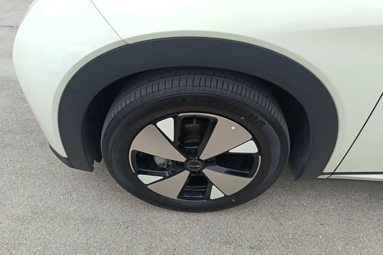 BYD Dolphin 2024 car image #9