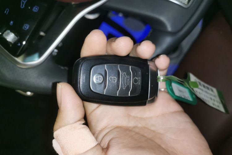 HongQi E-HS9 2023 car image #9