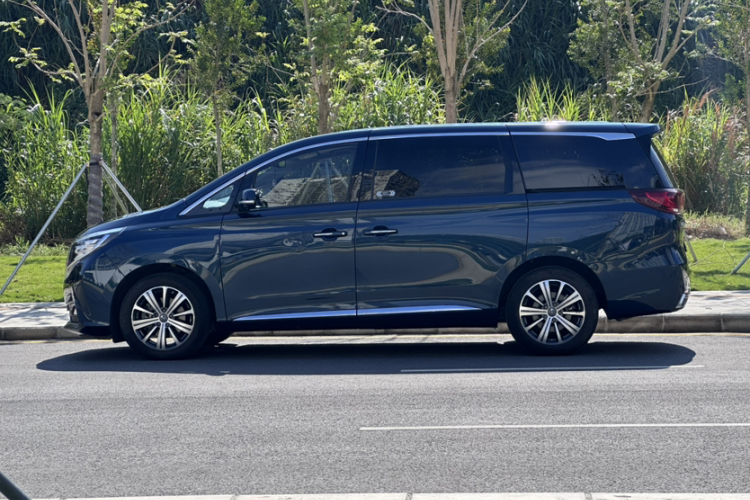 GAC Trumpchi M8 2019 car image #9