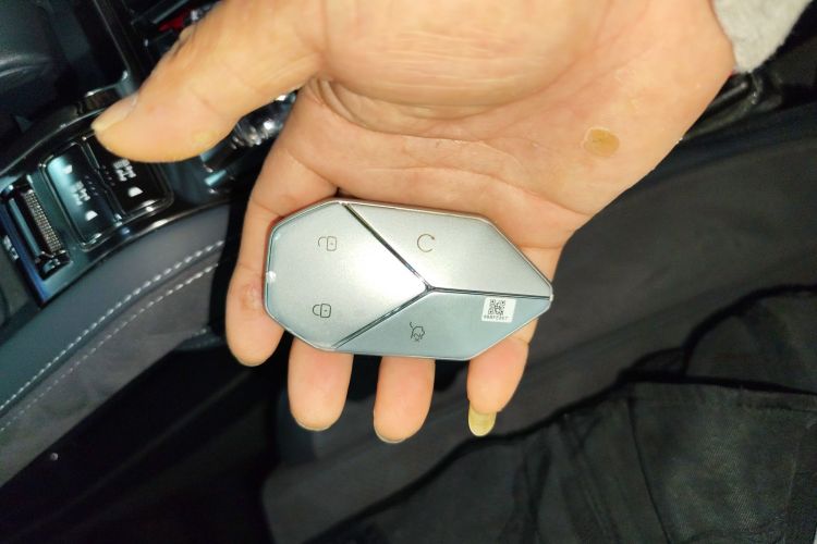 FangChengBao Leopard 5 2024 immagine di auto #9