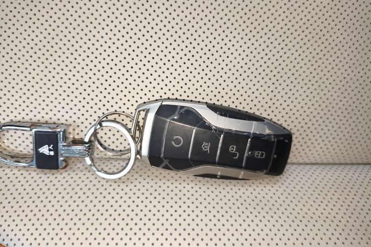 BYD Song Plus New Energy 2022 car image #9