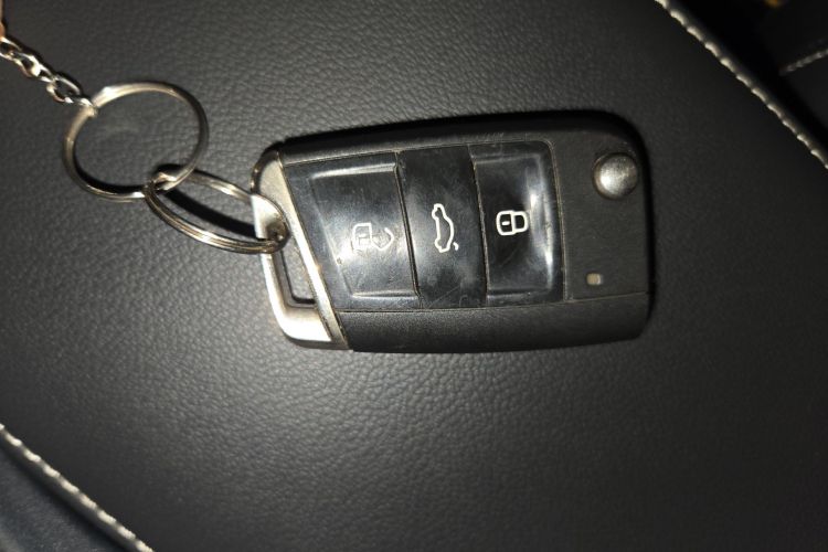 Volkswagen Tiguan L New Energy 2020 imagen de coche #9