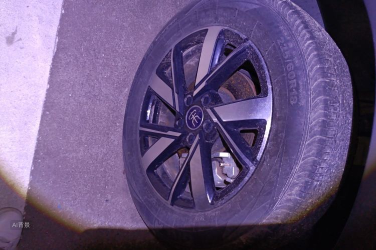 BYD Song Pro New Energy 2023 car image #9