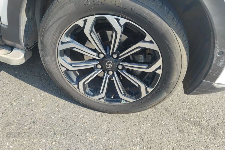 Soueast DX7 2020 car image #9