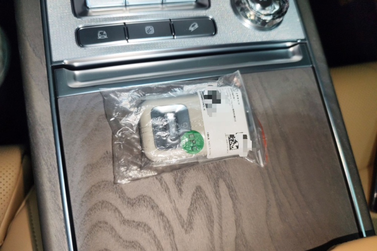 Zeekr 9X 2026 imagen de coche #9