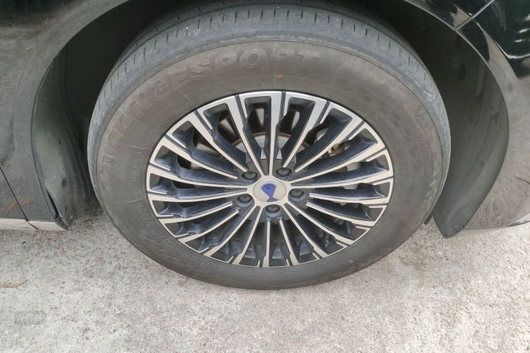 Denza D9 2023 imagem de carro #9