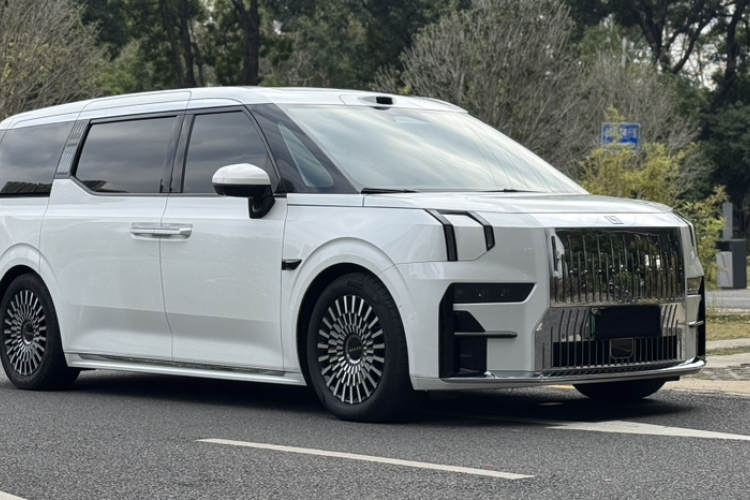 极氪 极氪009 2024 汽车图片 #9