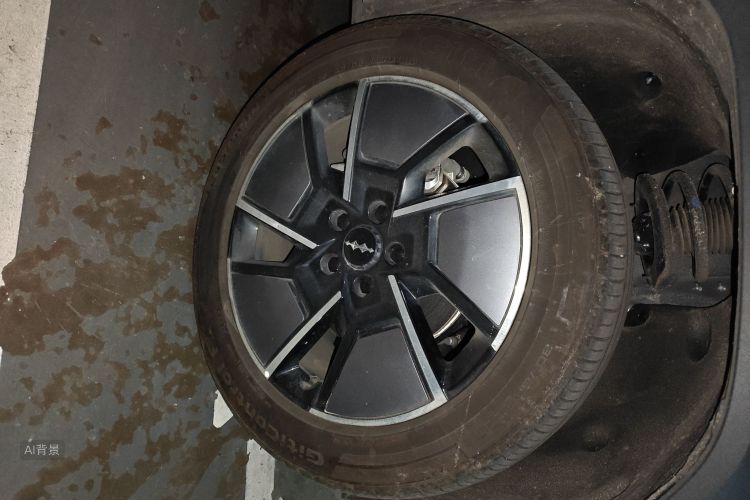 FangChengBao Tiger 3 2025 car image #9