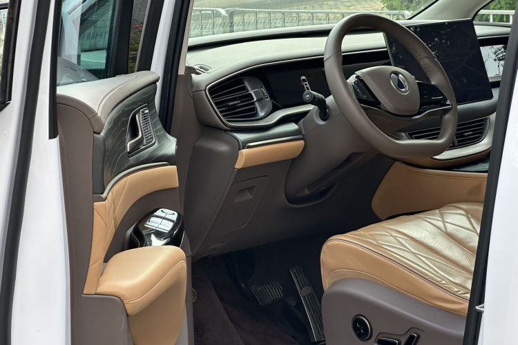 Denza D9 2023 imagem de carro #9